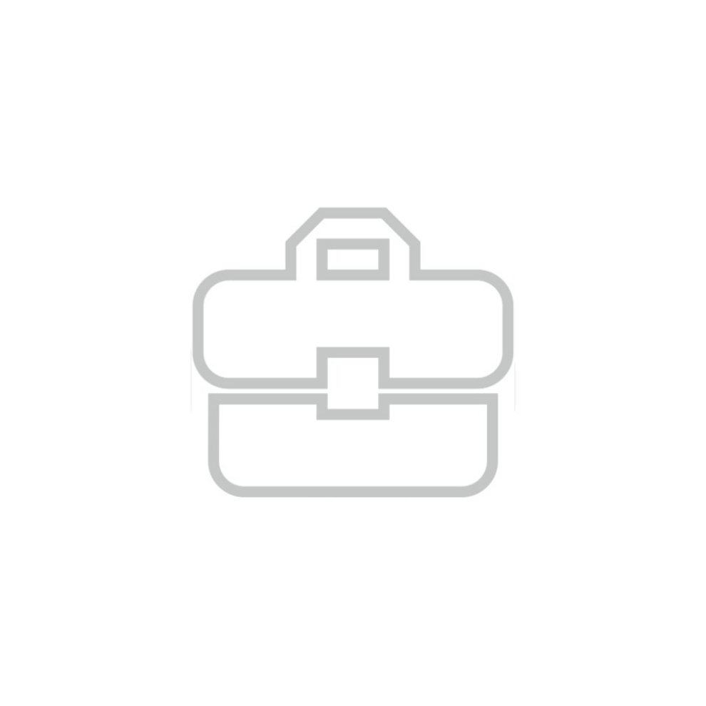 Region und Wirtschaft