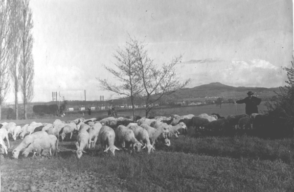 Aufnahme ca. 1930