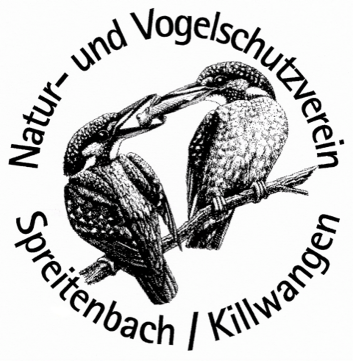 Logo NVSK