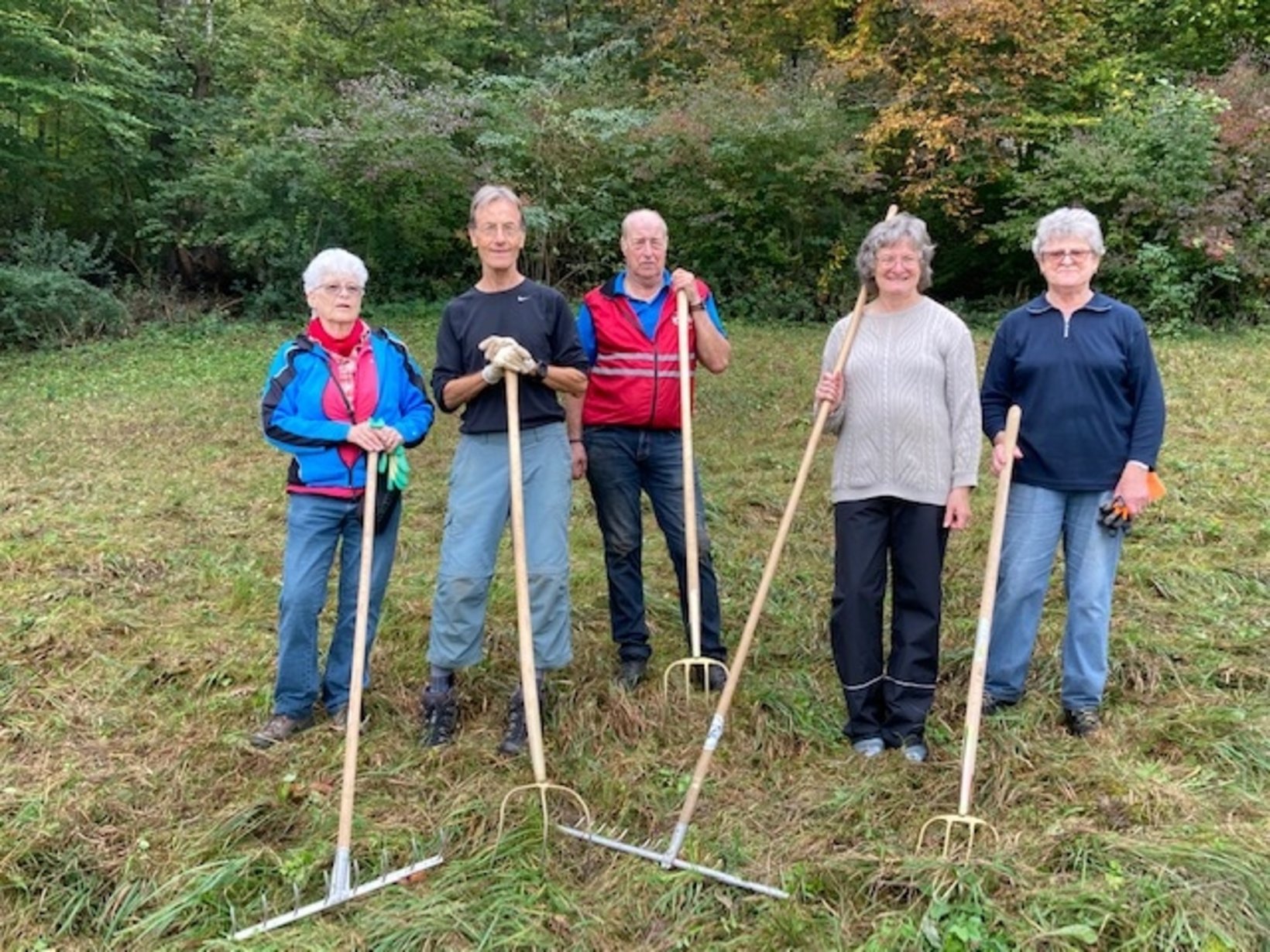 Orchideenwiese ses IMG 9391