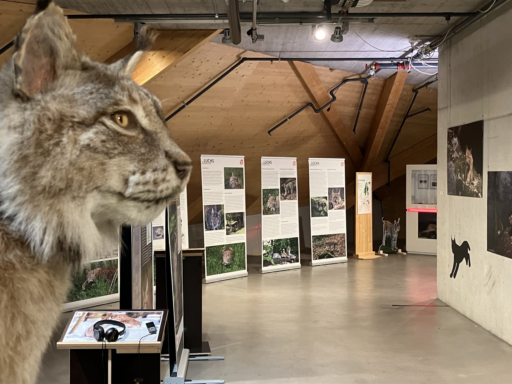 Mit dem LUCHS auf Augenhöhe