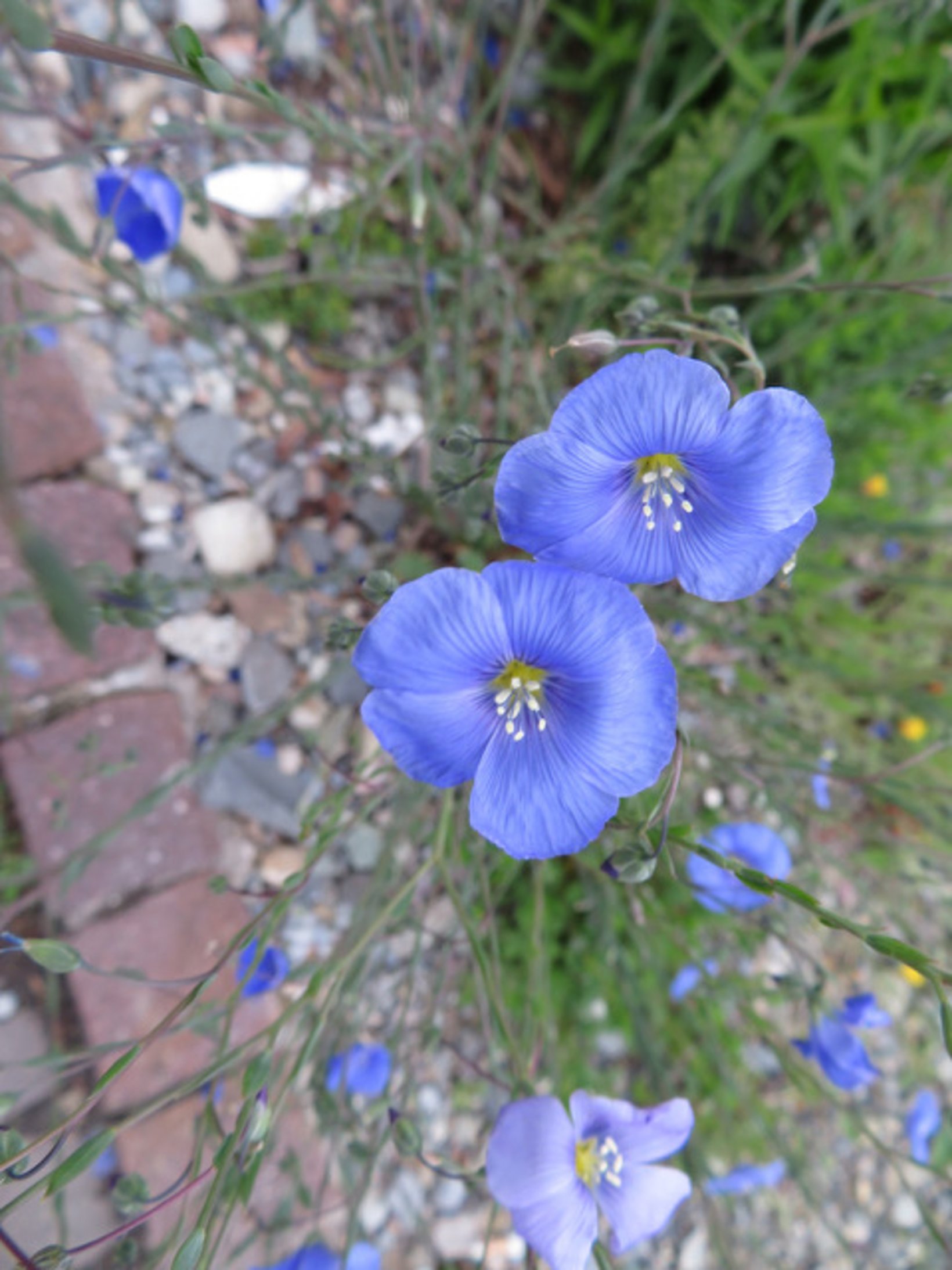 Rabatte Gemeinde IMG 0847