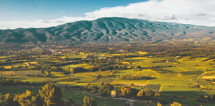 Schatzkammer Degustation