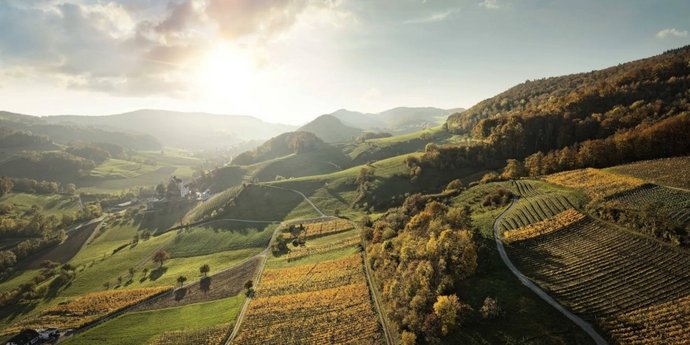 Gerstl Aargauer Weinmomente